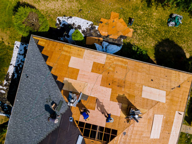 Best Shingle Roofing Installation  in Ina, IL