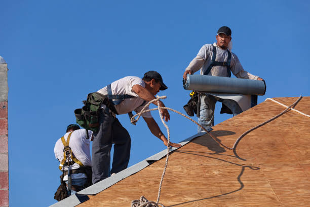Trusted Ina, IL Roofing Contractor Experts