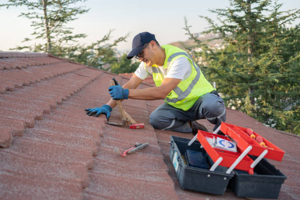Best Commercial Roof Installation  in Ina, IL